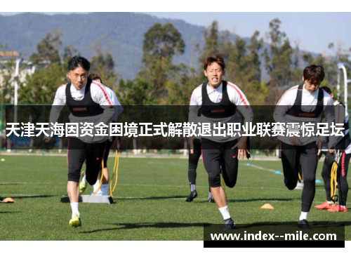 天津天海因资金困境正式解散退出职业联赛震惊足坛