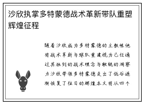 沙欣执掌多特蒙德战术革新带队重塑辉煌征程 沙欣执掌多特蒙德战术革新带队重塑辉煌征程